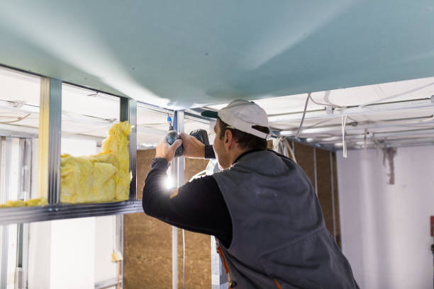 Best Commercial Insulation in Venus, TX