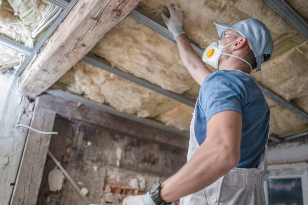 Best Geographic-Specific Insulation Services in Venus, TX