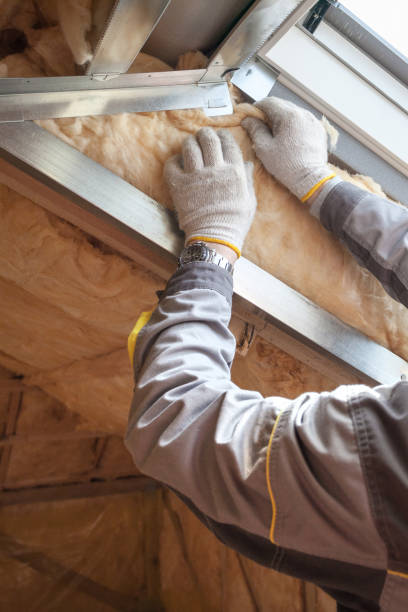 Best Specialized Insulation Services in Venus, TX
