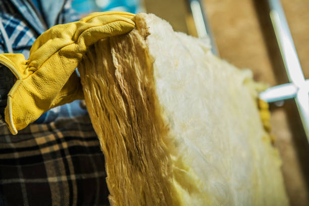 Best Insulation Maintenance and Repair in Venus, TX